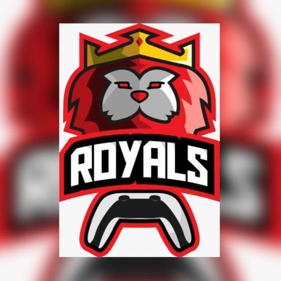 Welcome to our official Twitter page! Your first EVER @OntarioFSEA Rocket League 3v3 Champions! 🏆 Showcasing our next-level gaming skills the BR way! #WERBR 🦁