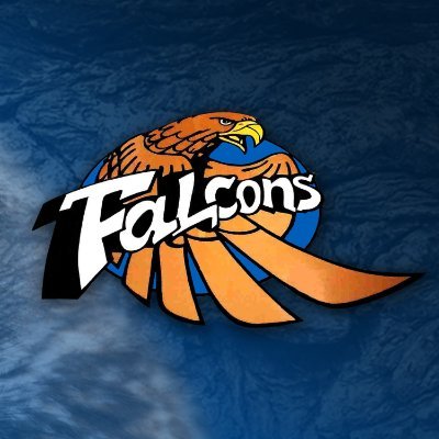 TheFoleyFalcon Profile Picture