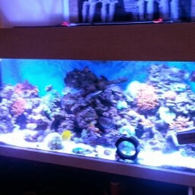 JawoMax's profile picture. 