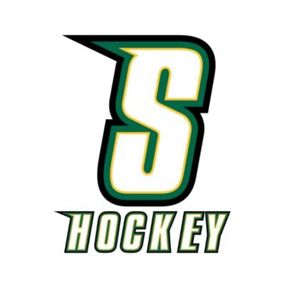 Official Twitter Account for the Siena College Men’s Hockey Team. Member of the Super East Collegiate Hockey League. ACHA M2 🔰