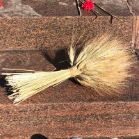 Christian Collberg🇸🇪🇺🇸🌵🎸📷😷👨‍🏫🛩🛂🥾👨‍👧‍👦👰 (@dr_collberg) 's Twitter Profile