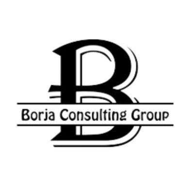 borjaconsulting Profile Picture