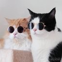 Tony Cottrell - @TonyCottrell19 - Twitter