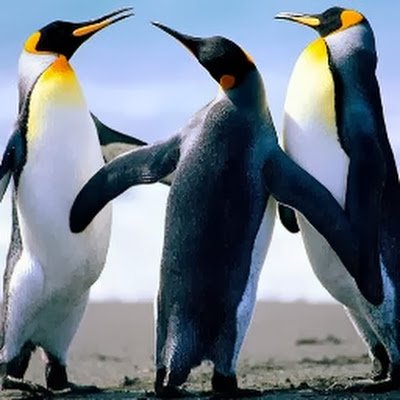 Maria77MD's profile picture. 