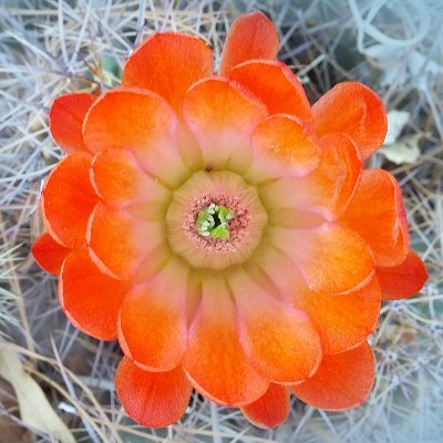 NikkiDanby1's profile picture. Design for Life Energy Healer #Internationalenergyhealer,#CertifiedBeliefCode&,#BodyCodePractitioner,#InternationalFineArtist