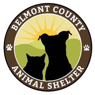 CountyBelmont's profile picture. Our mission is to save the lives of stray dogs and cats and reunite owners with lost pets. https://t.co/xa6jJvhM6o…