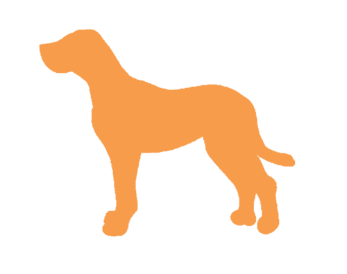 Top Dog is a fun-filled dog walking service on the east coast of Virginia. On twitter, you can take a virtual walk with us and see photos of your pup in action.