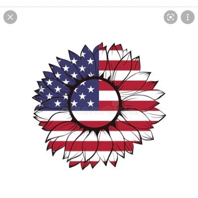 AmyPatriot1's profile picture. Texan, Trump/Vance 2024🇺🇸