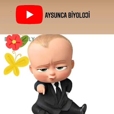 YOUTUBE : AYSUNCA BİYOLOJİ
AKÜ BİYOLOJİ 
KÜ BİYOKİMYA MASTER #yks #tyt #ayt