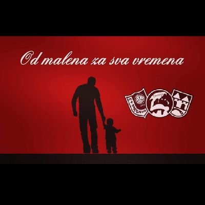 MinelSaric's profile picture. 