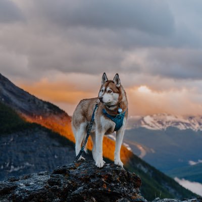 ᨏ Exploring the Canadian Rockies ᨏ