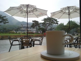 gamrim's profile picture. 甘霖(감림)은 단비를 뜻합니다.소낙비에도 불구하고 외로워 건조해진 마음에... 화가 난 가슴에 소중한 단비가 되려 합니다. 사랑합니다.