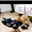 Joel Orr - @jho11381 - Twitter