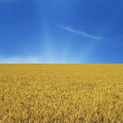 LeoDVisser's profile picture. left to Blue Sky - read only account - dump Musk