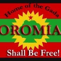 oromo love