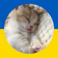 львівська квітка♡ (@minliyu) 's Twitter Profile