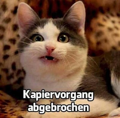 Stulli72's profile picture. Sensibel, Spass am Lachen und allem was Fell hat