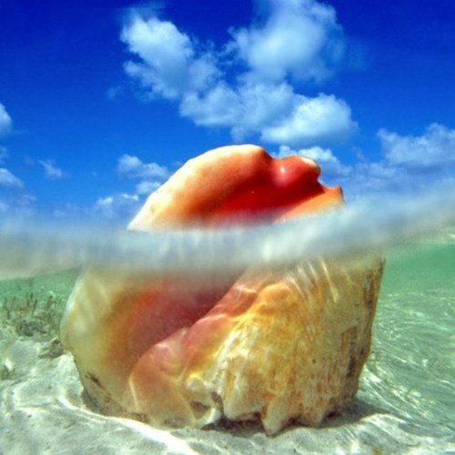 jcrowey's profile picture. Travel, Art & Surfing