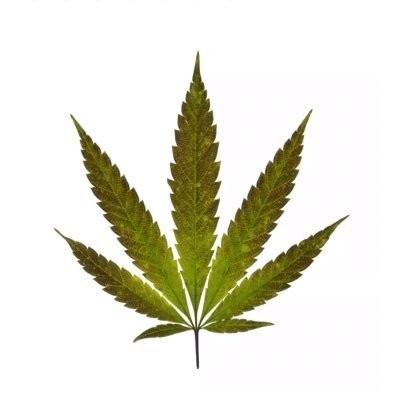 Cannabiztrade Profile Picture