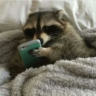 samgest_'s profile picture. Inanimada barra de carbono