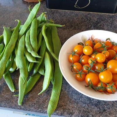 Green Thumb, botany, BLM