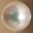 butani_shinju22