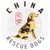 China Rescue Dogs(@ChinaRescueDogs) 's Twitter Profile Photo
