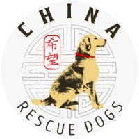 China Rescue Dogs (@chinarescuedogs) Twitter profile photo
