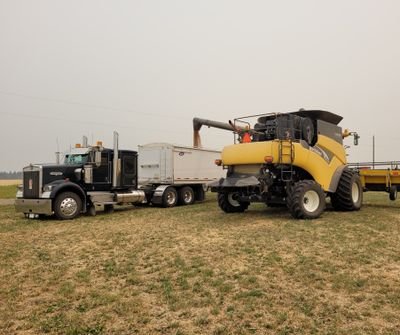 westerncanada44's profile picture. I like making dust with large farm equipment. Get out of my way.