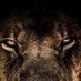 Kevin Kiarie (@k_kiarie_) Twitter profile photo Kevin Kiarie (@k_kiarie_) Twitter profile photo