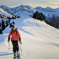 Robin O'Neill (@robinoneill) 's Twitter Profile