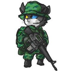 Warrior_Kitten_ Profile Picture