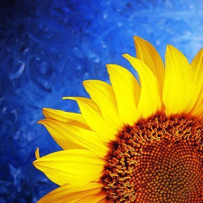 maryjkocsis's profile picture. Just a Midwestern Gal. Wife/Mom. Browns/Cavs/Indians/ Bucks fan. Clevelander all my life. It really is a great town!