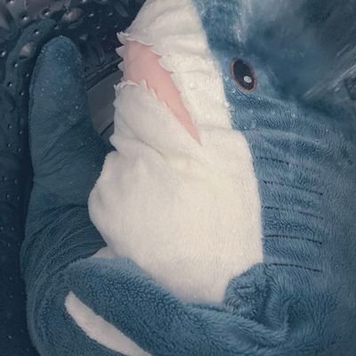 🦈さんのプロフィール画像