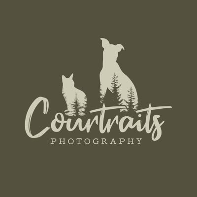courtraits Profile Picture