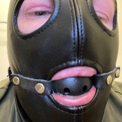 Pupslave