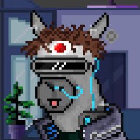 0xJrad.eth (@jradnft) 's Twitter Profile