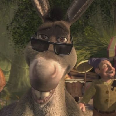 El Burro de Shrek (@ElBurrodeShrek1), Twitter