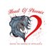 Heart of Phoenix Equine Rescue (@WVhorserescue) Twitter profile photo