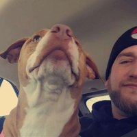 GobieGobes (@gobiegobes90) 's Twitter Profile