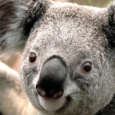 Darkestgoth68's profile picture. Nope