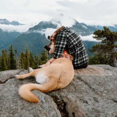 🌲 hiking, camping, road-trips, and adventures across Canada with my dog Roo // IG: @trailsofroo