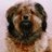 elisse1313's profile image