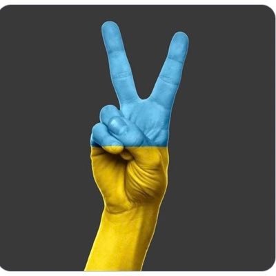 cookie79973848's profile picture. Art Humanitarian Movies. made 78,000 individual origami cranes. I have photos to prove it.