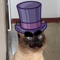 Javier Guzmán (@changoc242) 's Twitter Profile Photo