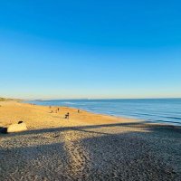 Dorset Lad (@bournemouthf1) 's Twitter Profile
