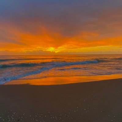 exitlights3d's profile picture. NYY Live & Die with every.single.pitch 4life, FSU football,baseball,softball,soccer . #girldad, I know things about ballet 🩰and swimming 🏊‍♀️