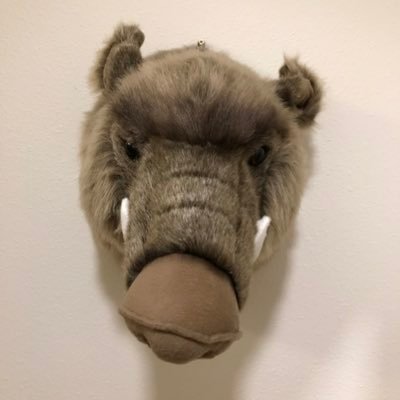 plushjavelina's profile picture. I am only a man.