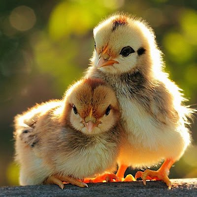 JaymishTandon's profile picture. 