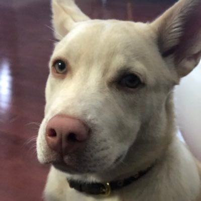 AngieB21546916's profile picture. 